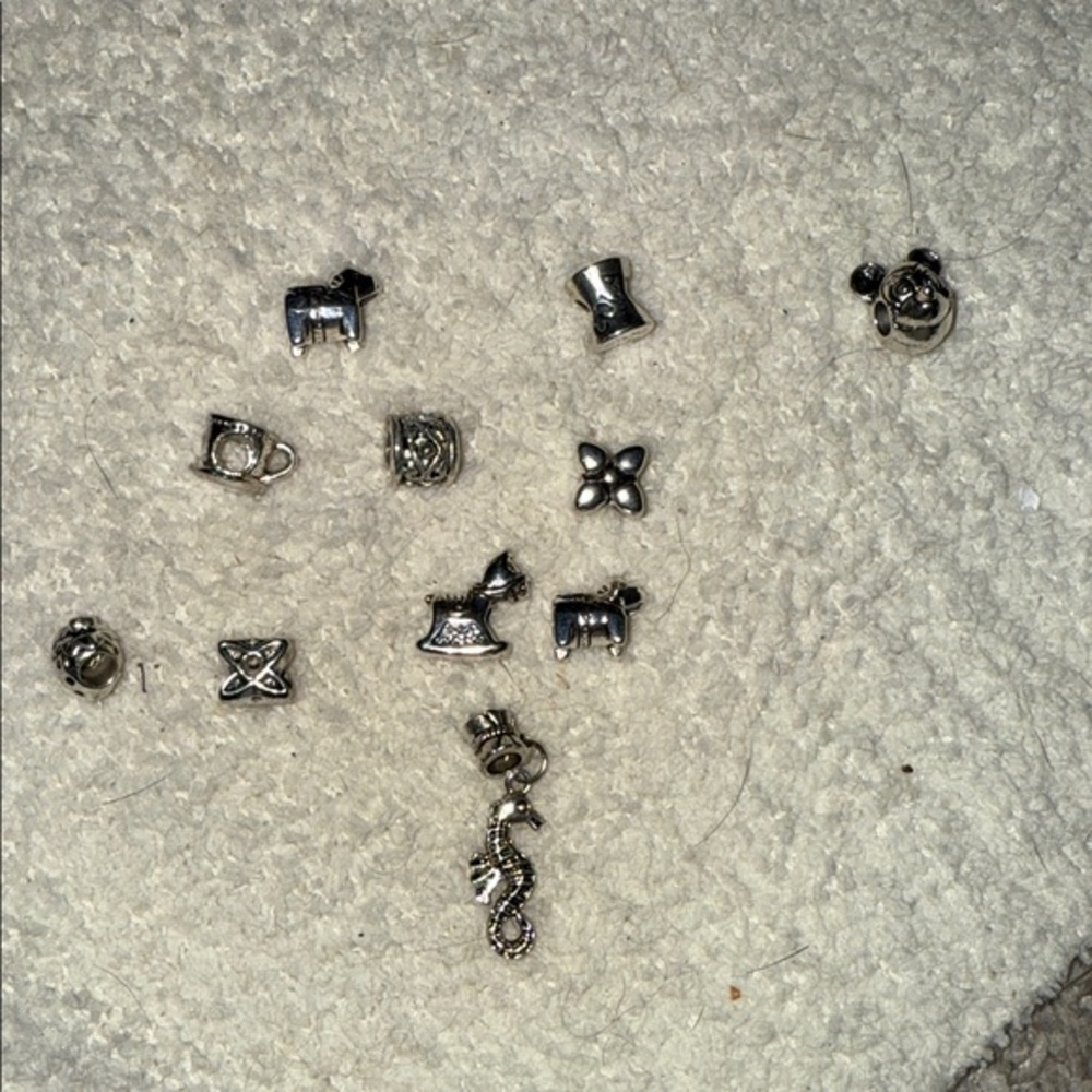 Silver Charm Collection